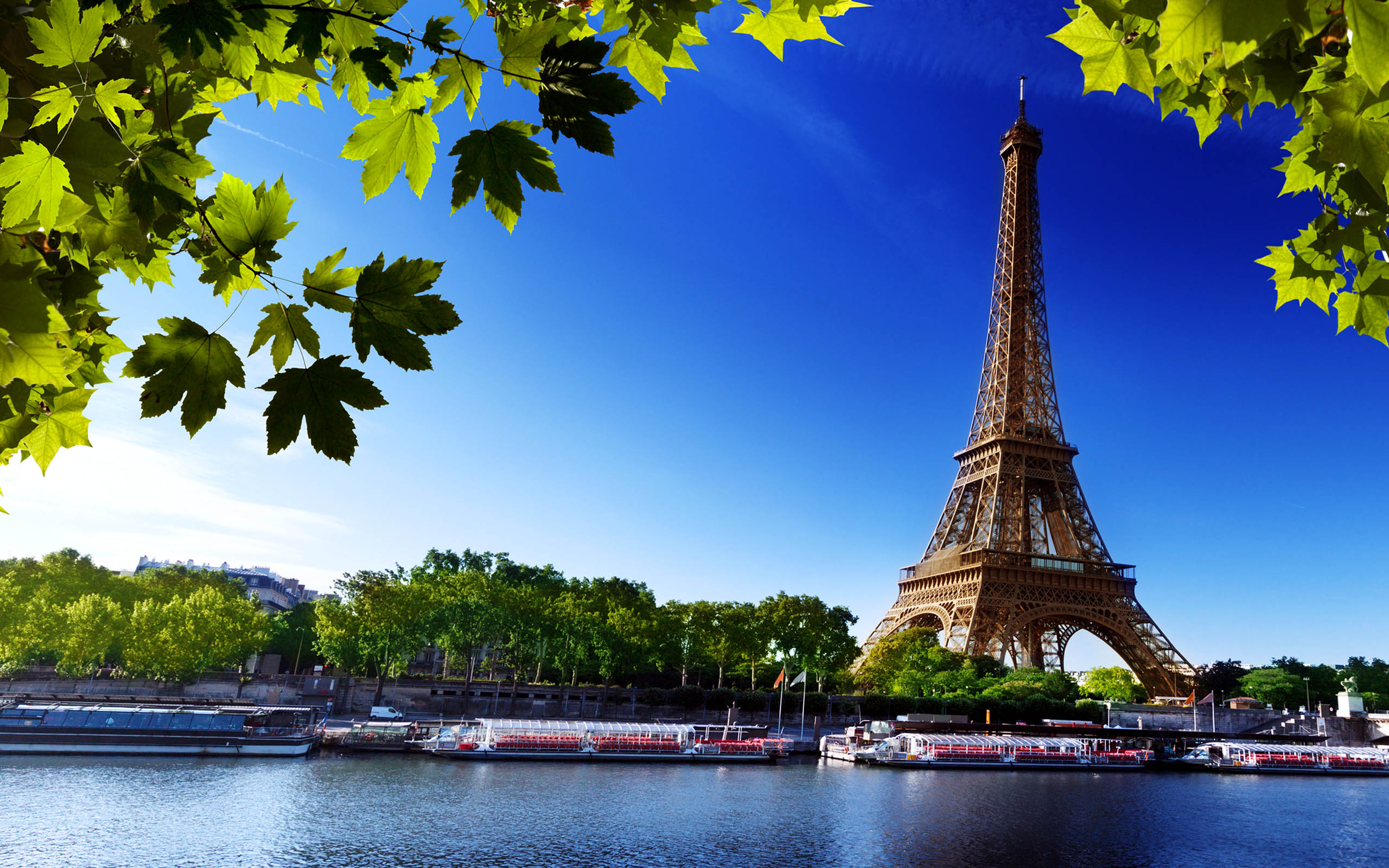 Eiffel Tower Paris France Summer