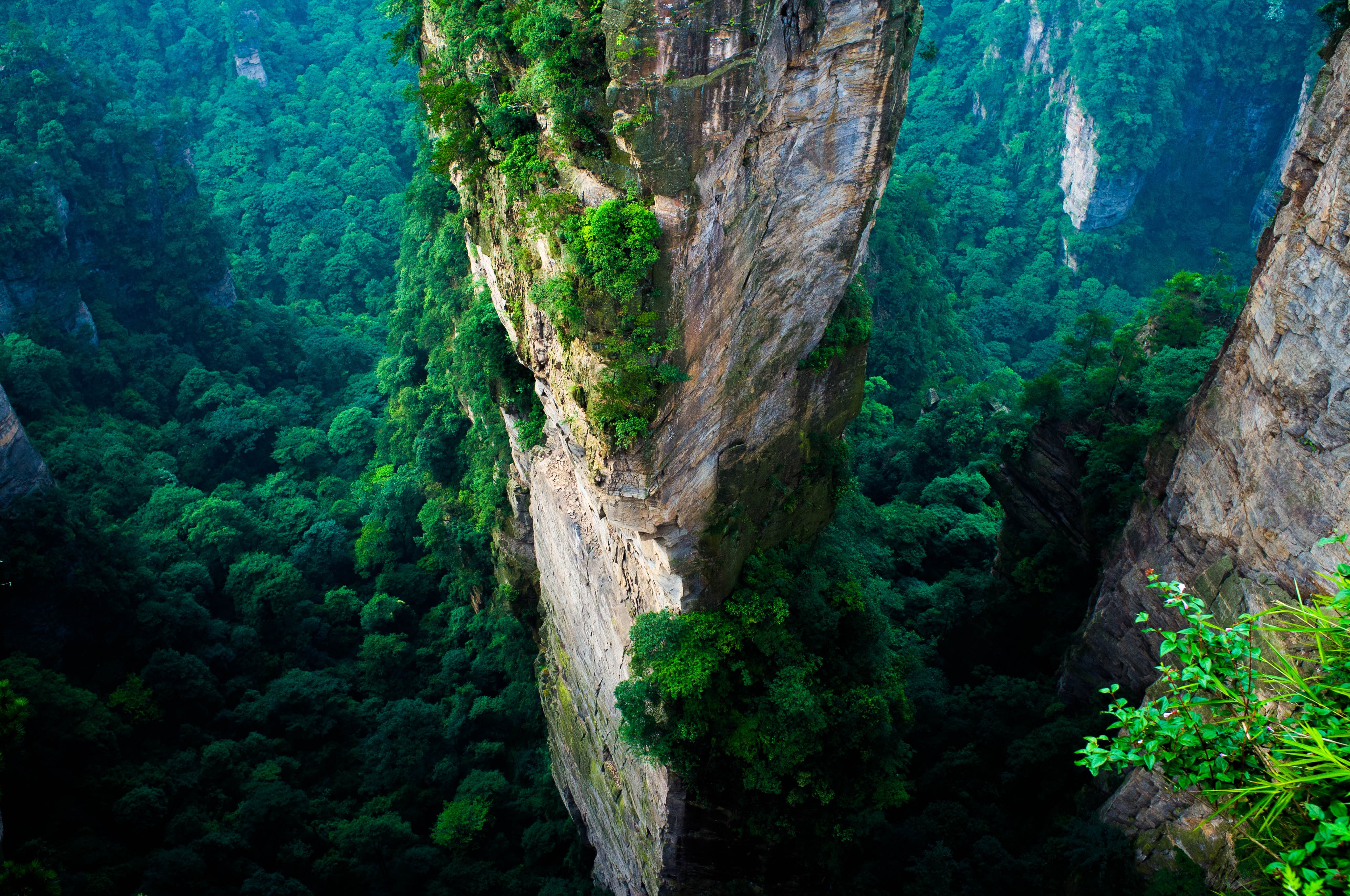 forest, China, Cliff, Mountain, Green, Summer, National ...