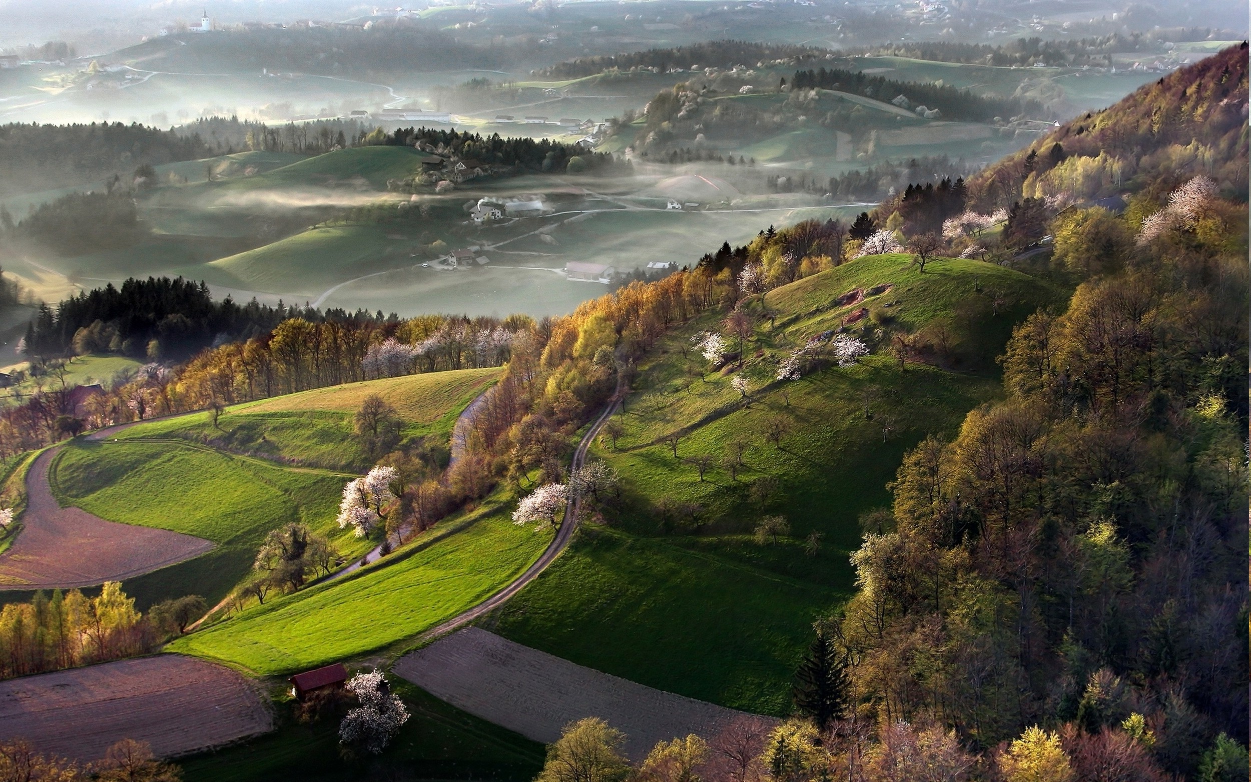 nature, Landscape, Mist, Sunrise, Spring, Slovenia, Field, Cherry Trees