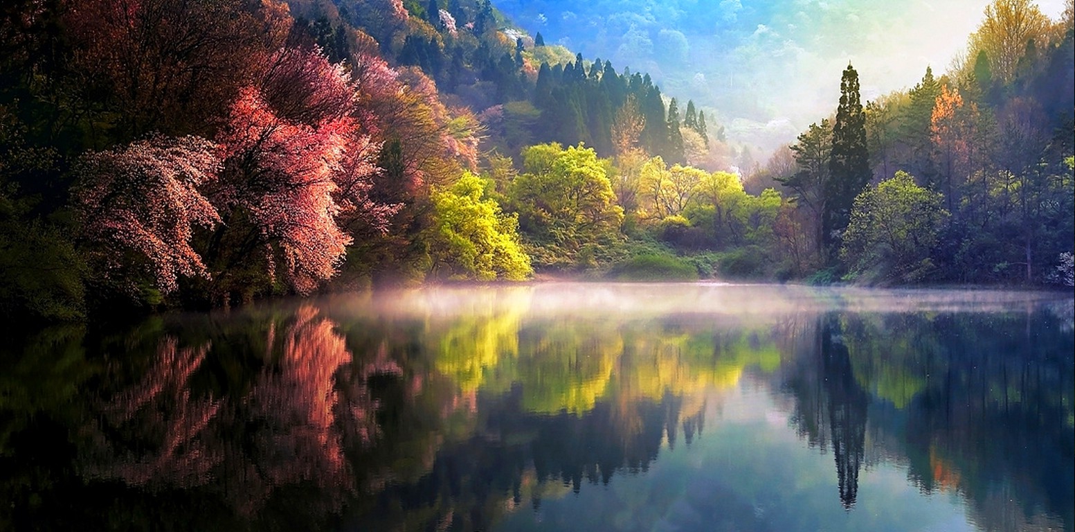 Nature Spring Sunrise Mist Lake Trees Reflection Forest