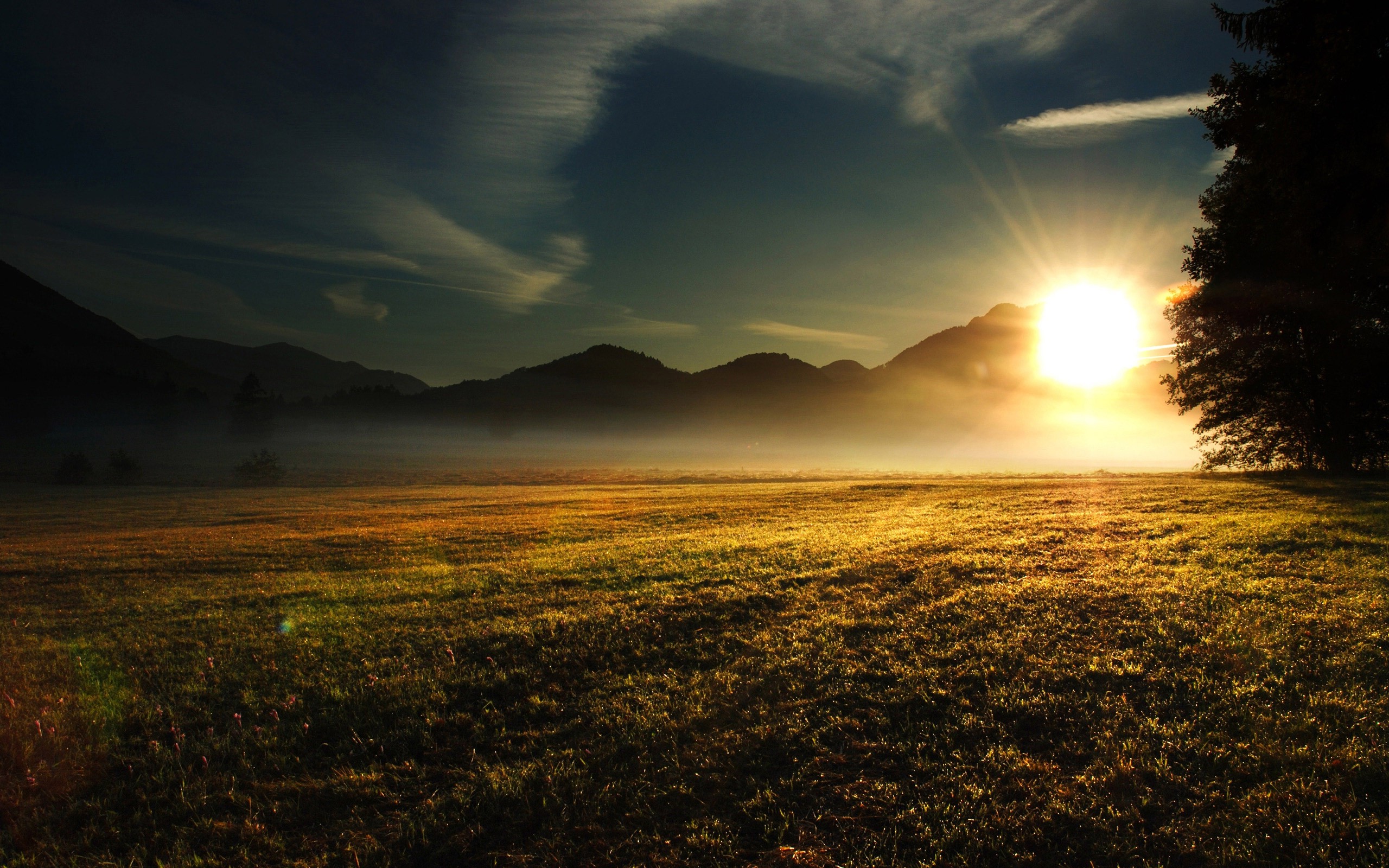 landscape, Sunrise, Morning, Grass, Field, Nature, Mist Wallpapers HD