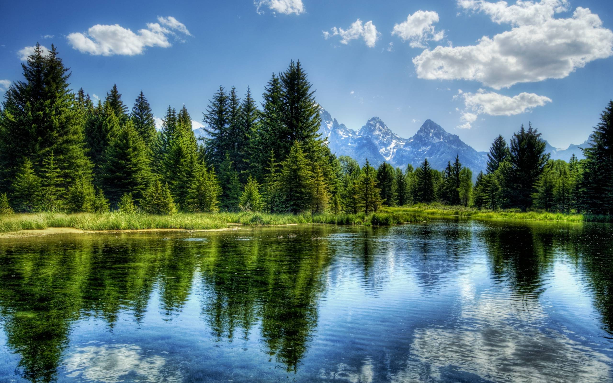 nature, HDR, River, Trees, Mountain, Landscape Wallpapers HD / Desktop