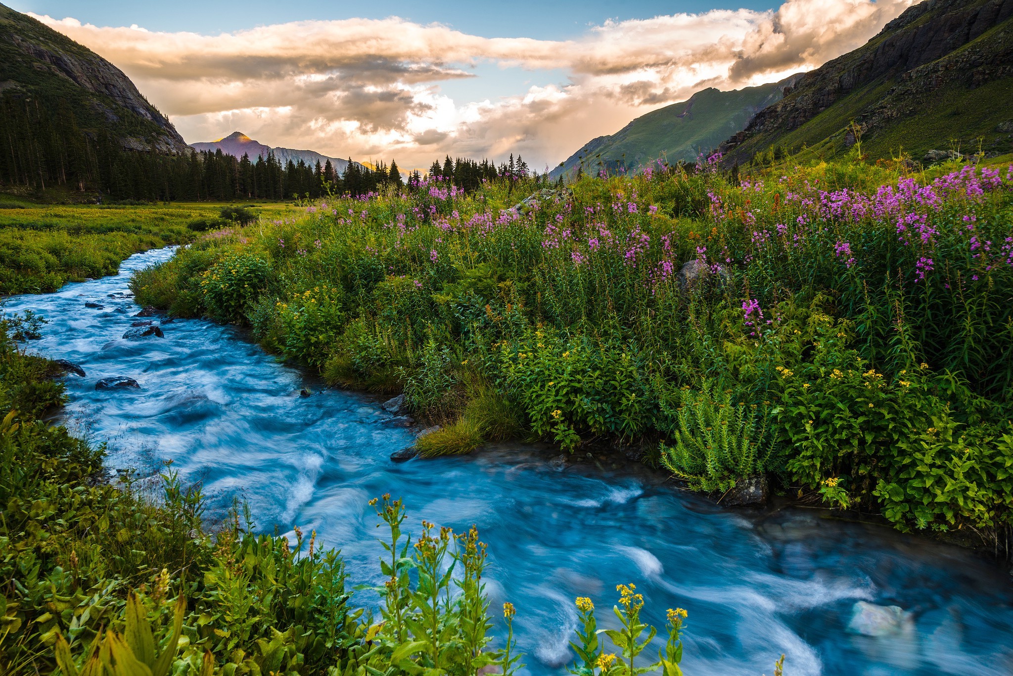 nature, Landscape, River, Trees, Forest, Clouds, Hill, Long Exposure, Colorado, USA, Flowers 