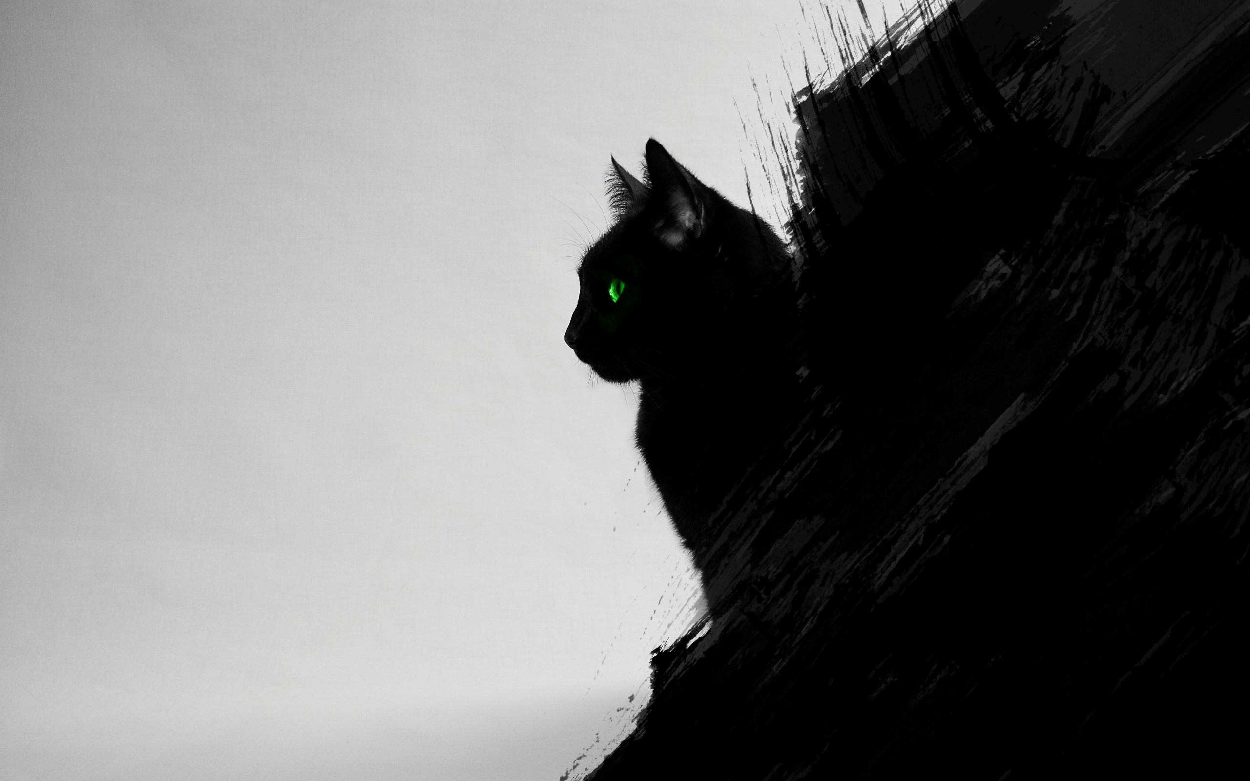cat, Black Cats, Animals, Green Eyes, Artwork, Digital Art ...