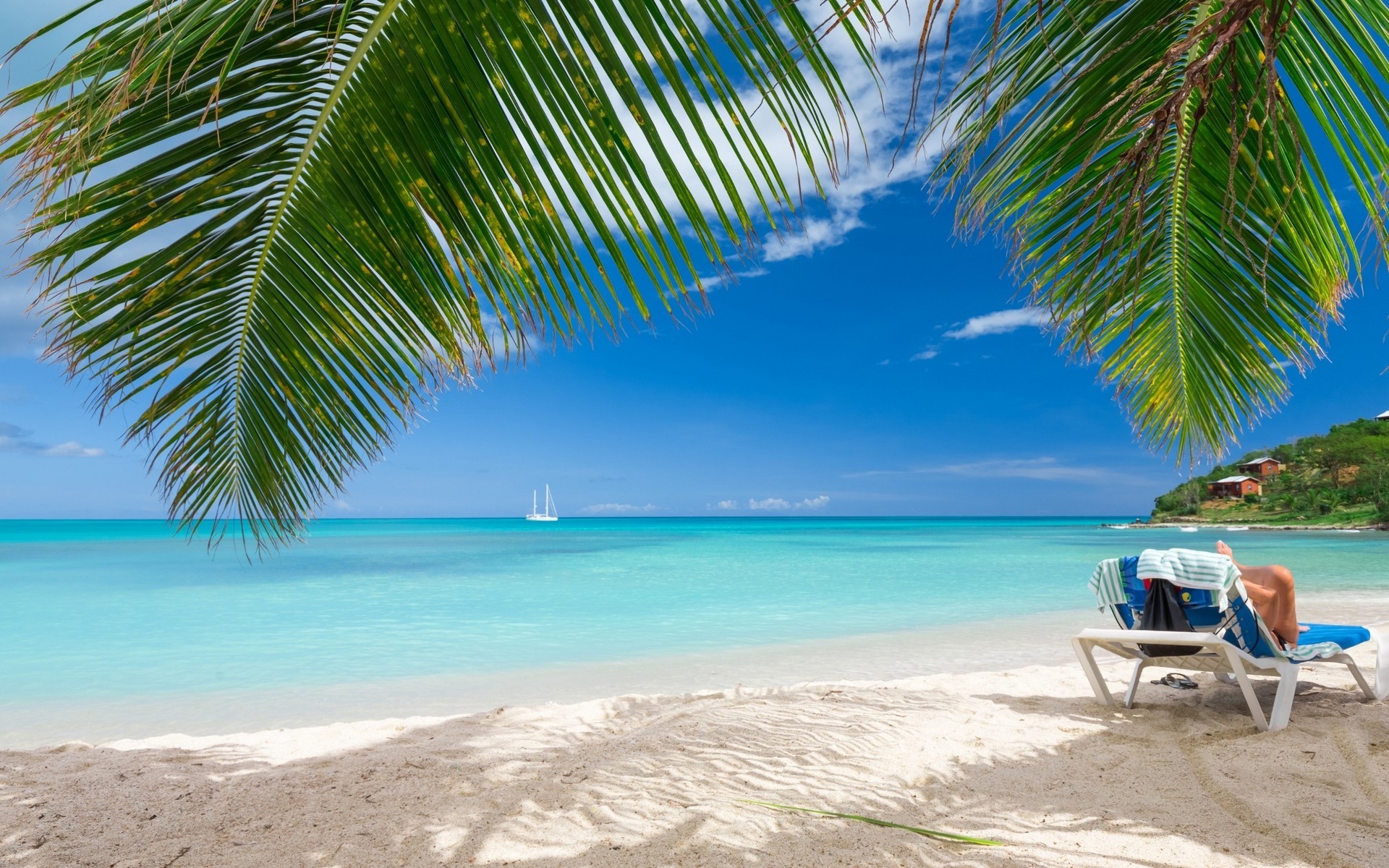Beach Summer Tropical Sea Nature Landscape Caribbean Palm Trees Beach Summer Tropical Sea Nature Landscape Caribbean Palm Trees