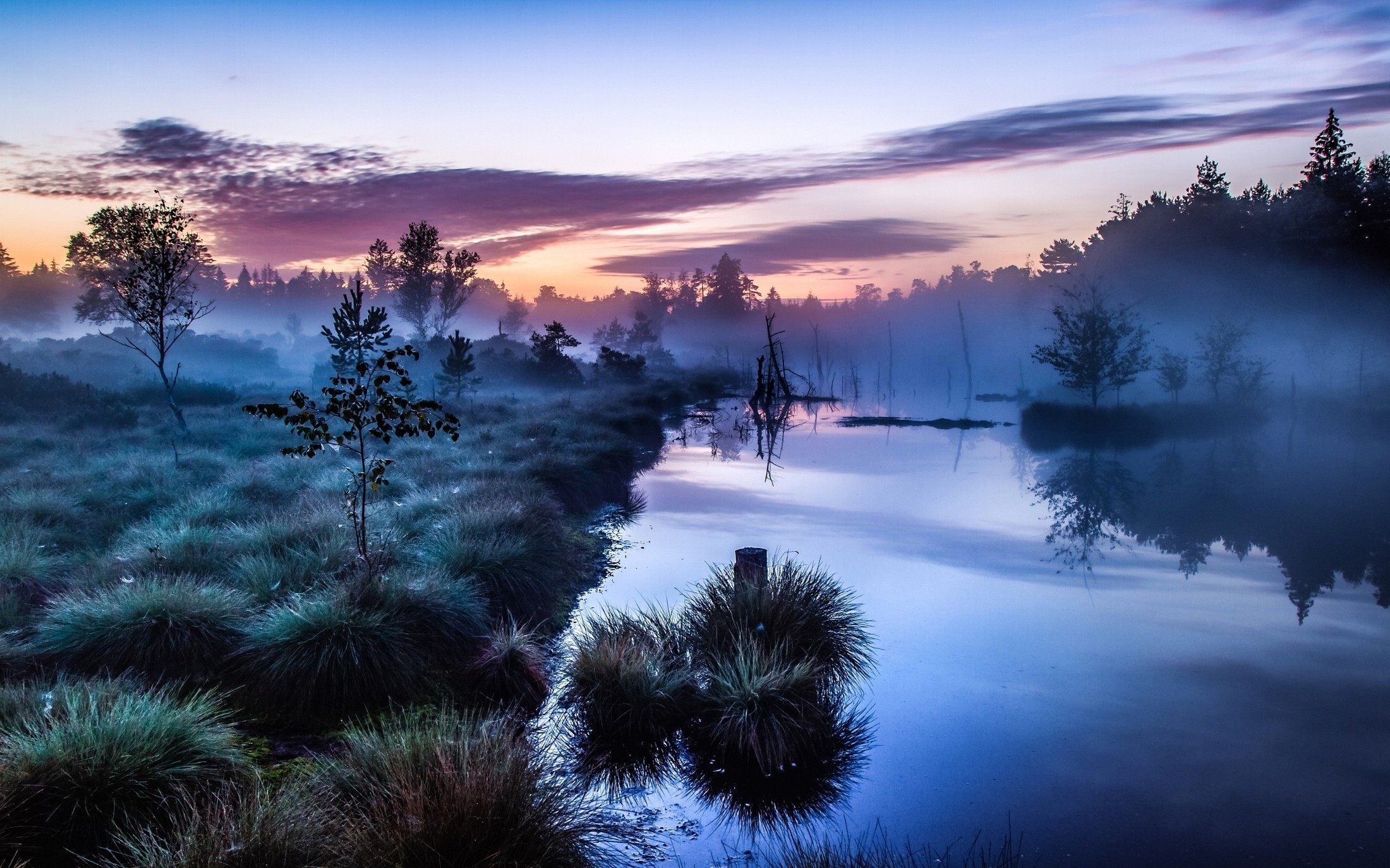 landscape, Nature, Mist, Sunrise, Trees, Shrubs, River, Germany, Calm