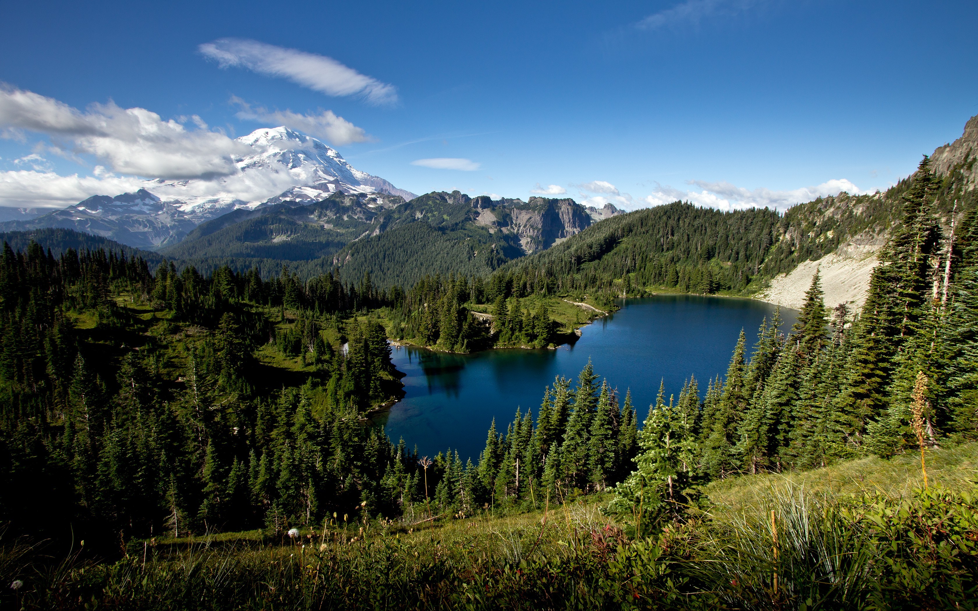 Landscape Nature Mountain Lake Forest Washington State Snowy Peak