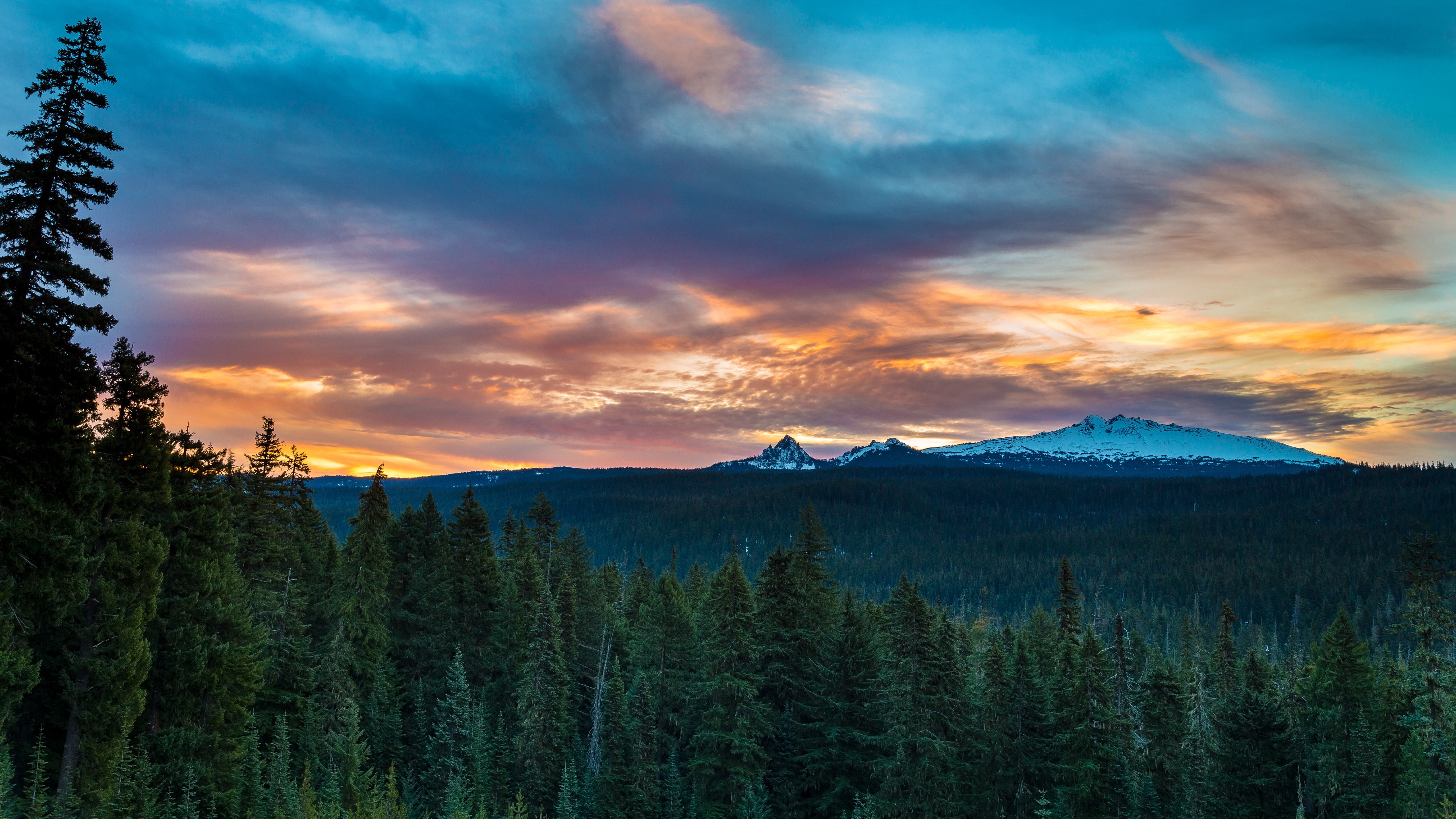 Oregon, Landscape, Trees Wallpapers HD / Desktop and ...