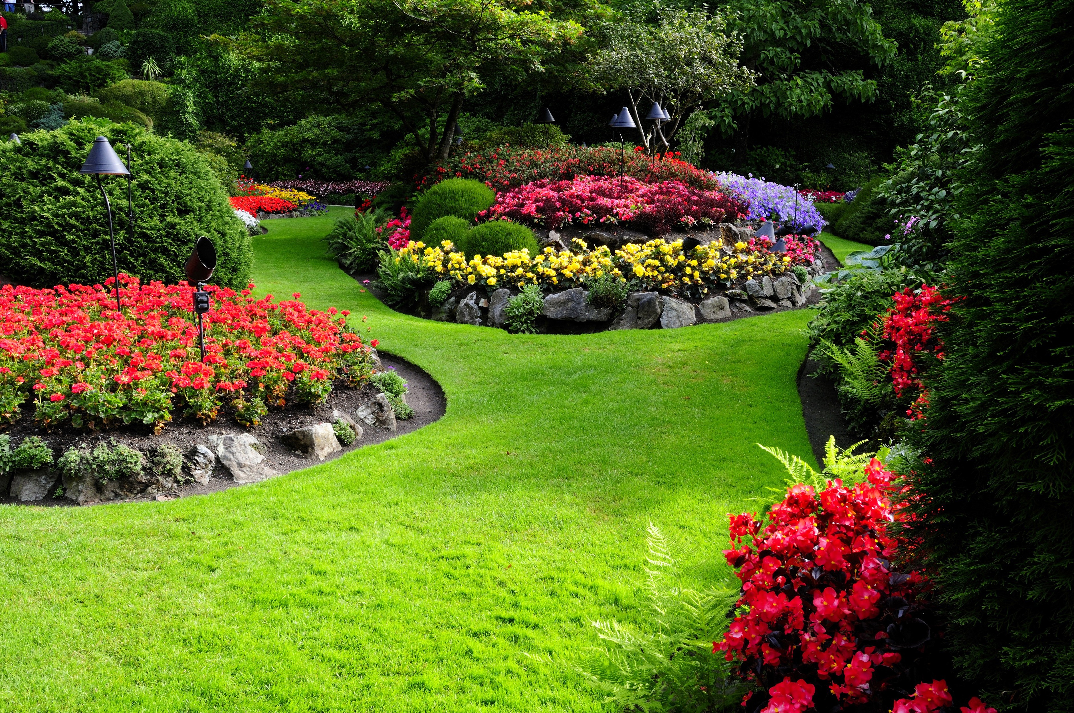 Photo Collection Background Garden Hd