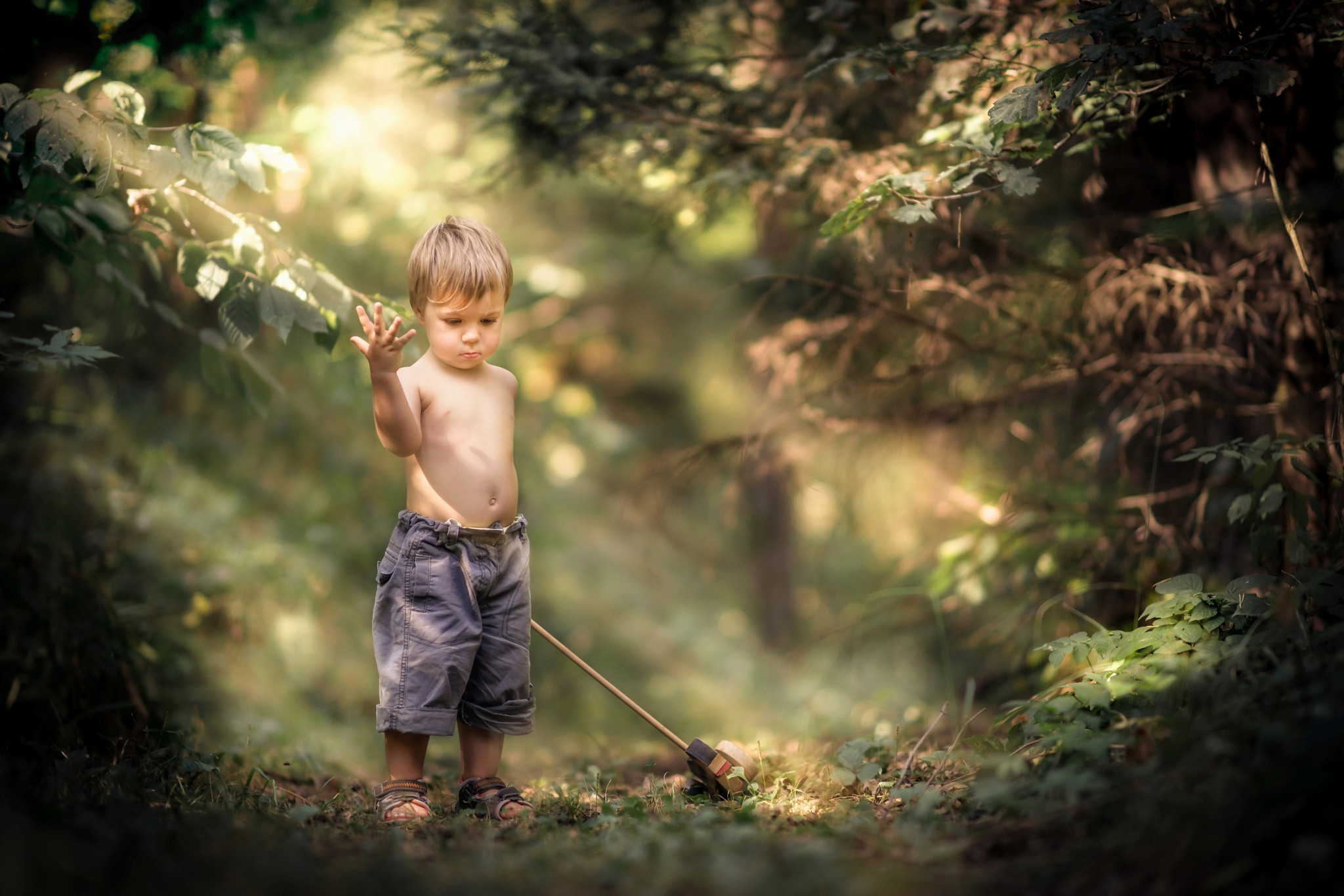 children, Little Boy, Nature, Forest, Sun Rays HD Desktop and Mobile Backgrounds