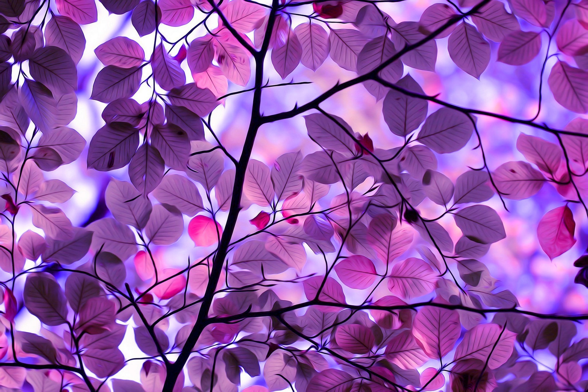 nature, Trees, Pink, Branch, Leaves, Digital Art Wallpapers HD