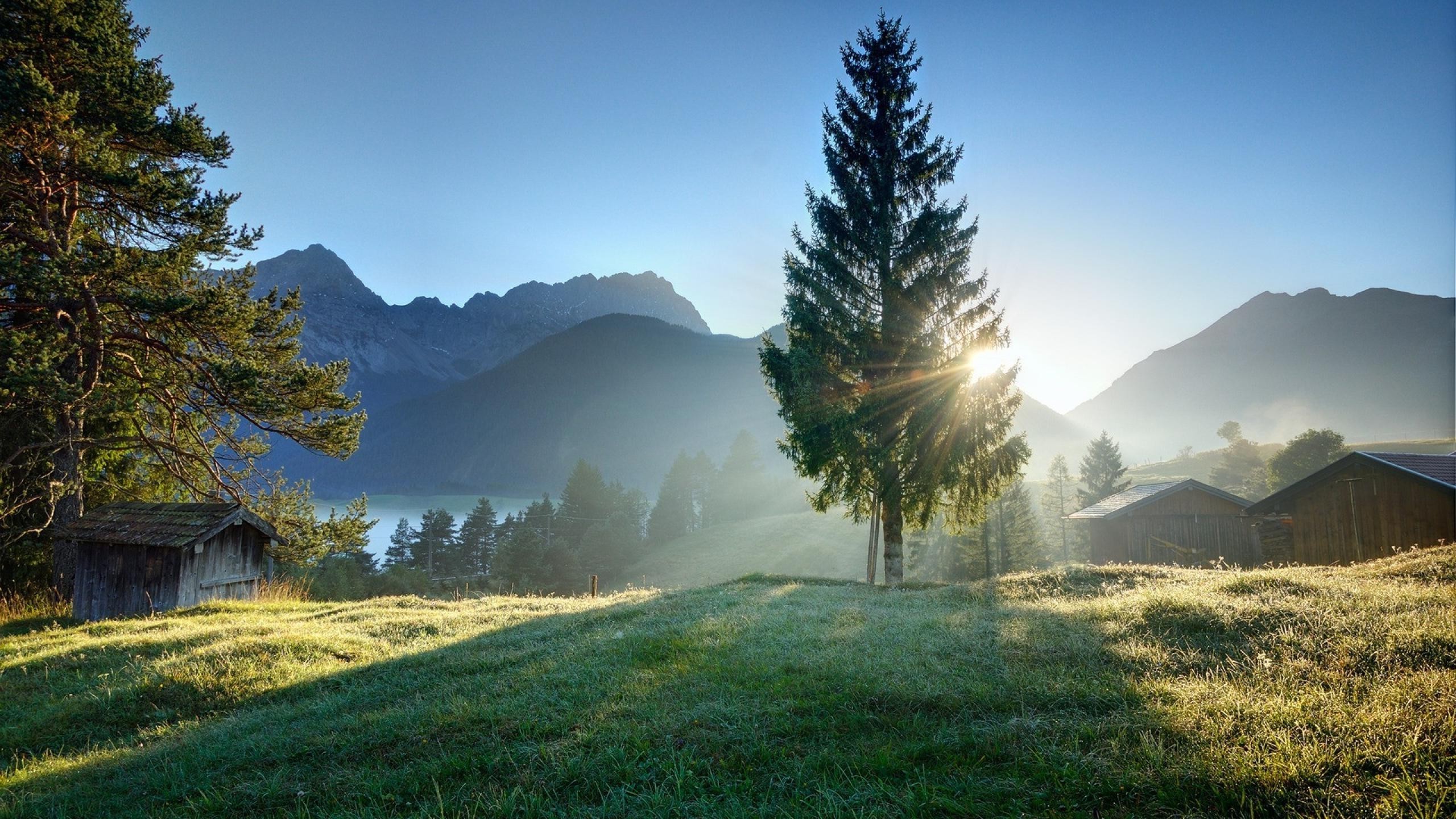 photography-landscape-nature-water-grass-trees-plants-sunrise