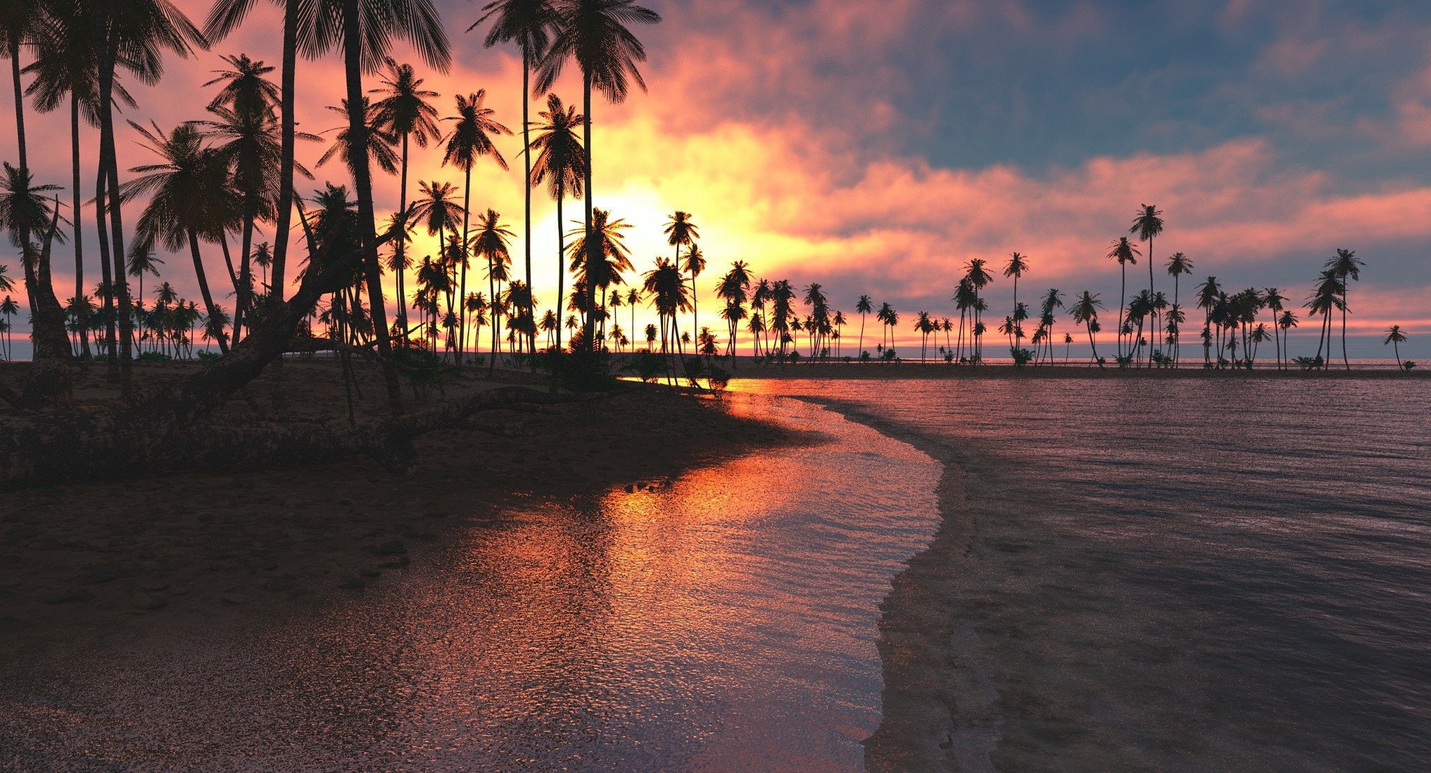 nature, Landscape, Tropical, Beach, Sunset, Palm Trees ...