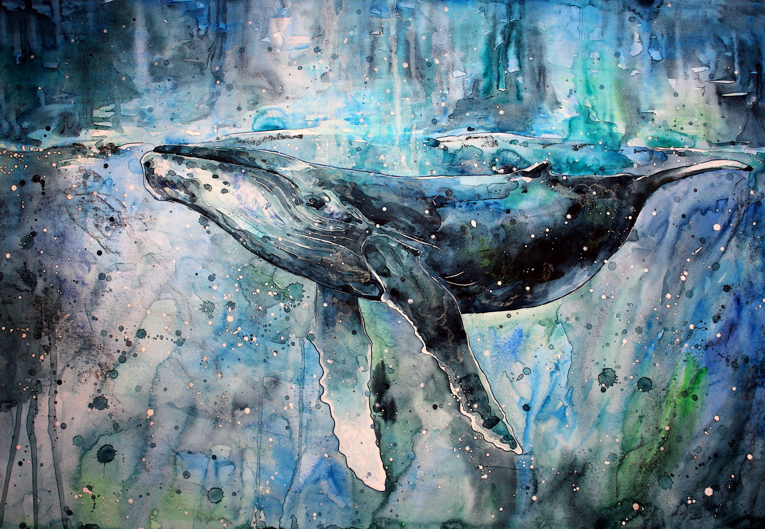whale, Artwork, Watercolor, Paint Splatter, Animals, Painting Wallpapers HD / Desktop and Mobile