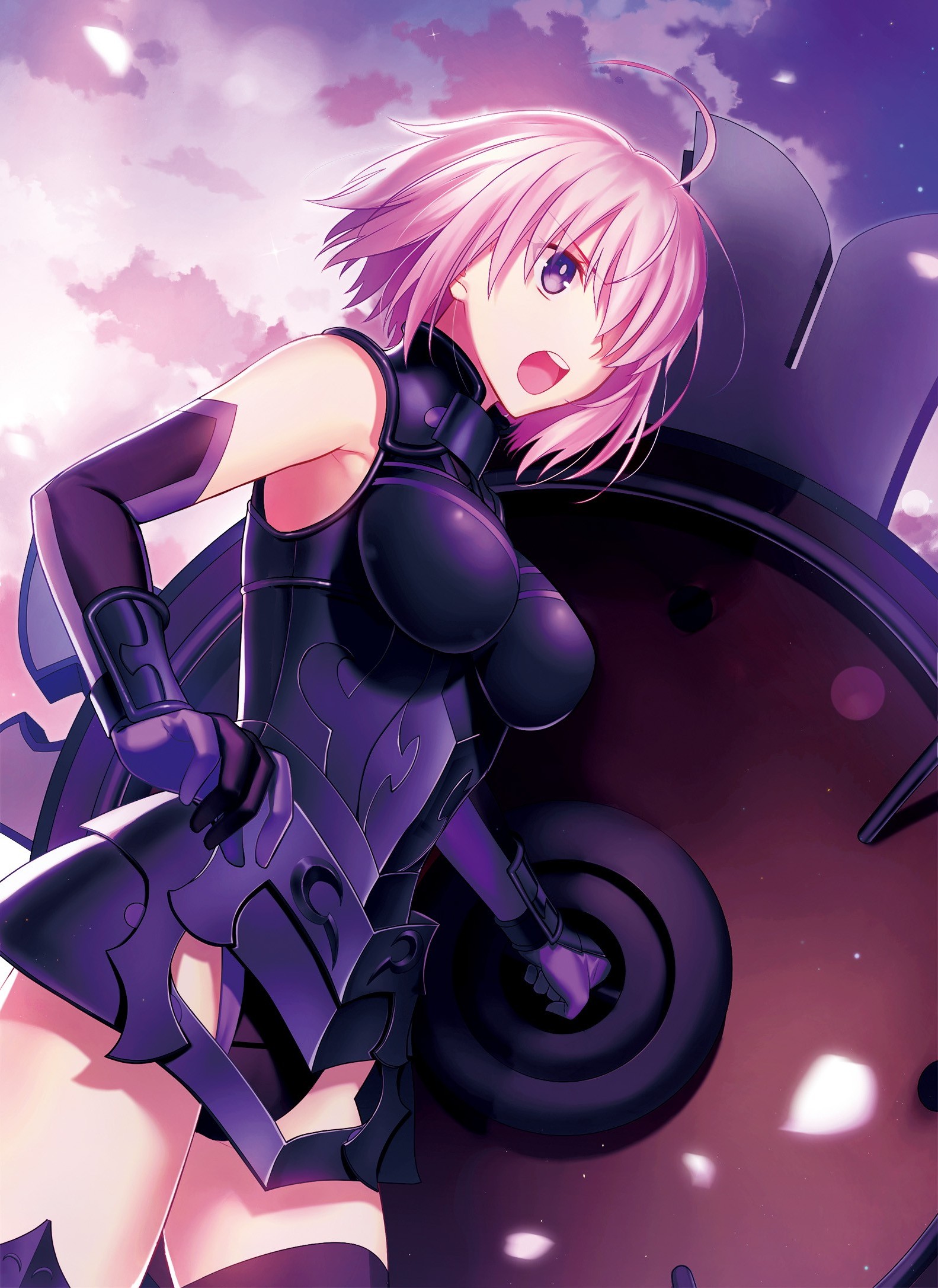 Fate Series, Fate Grand Order, Shielder (Fate Grand Order), Anime Girls