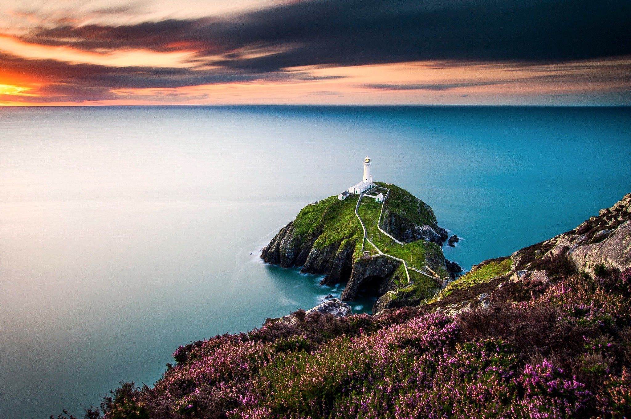 landscape, Wales, Lighthouse, Flowers, Coast, Sea, UK ...