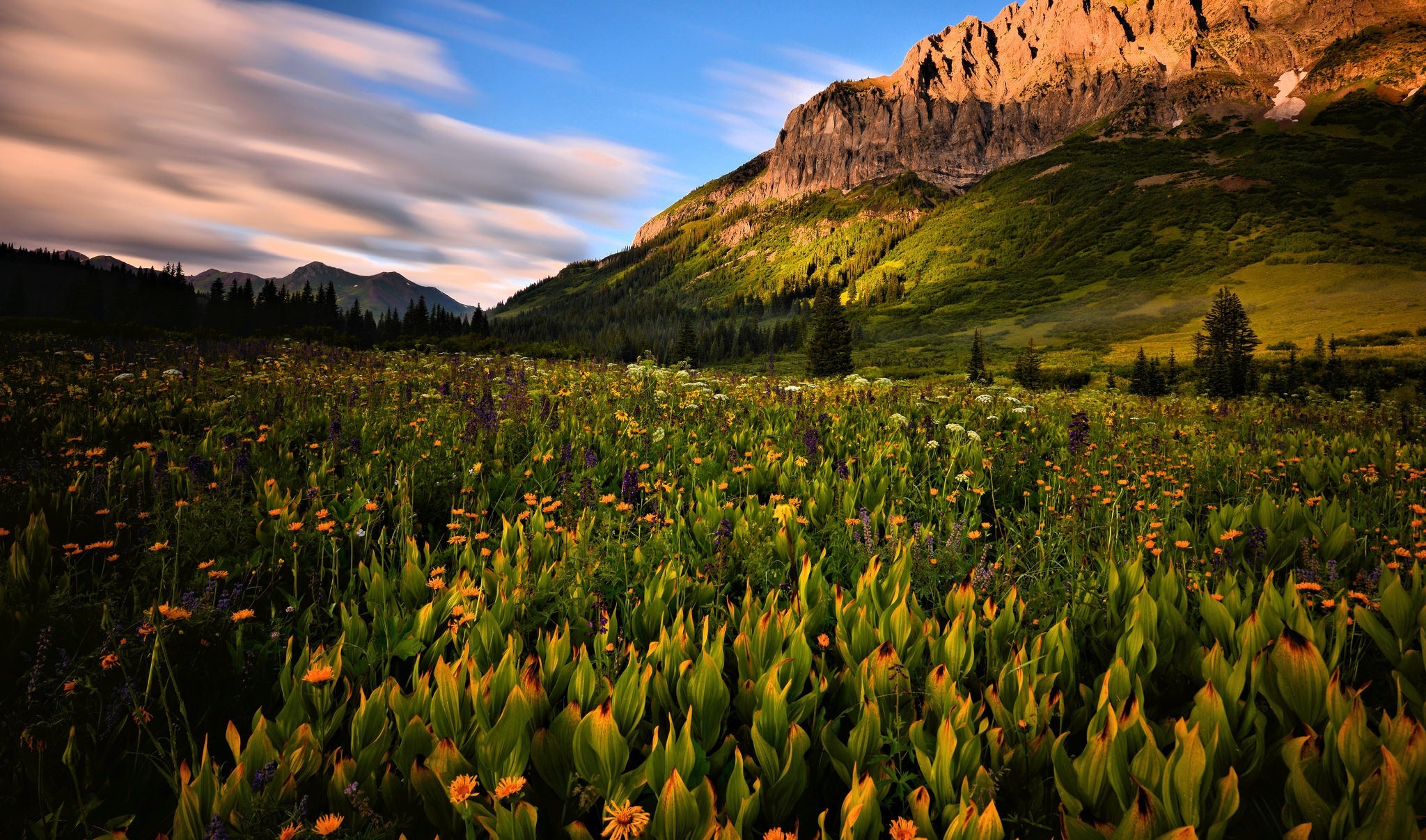 nature, Rock, Field, Landscape Wallpapers HD / Desktop and Mobile