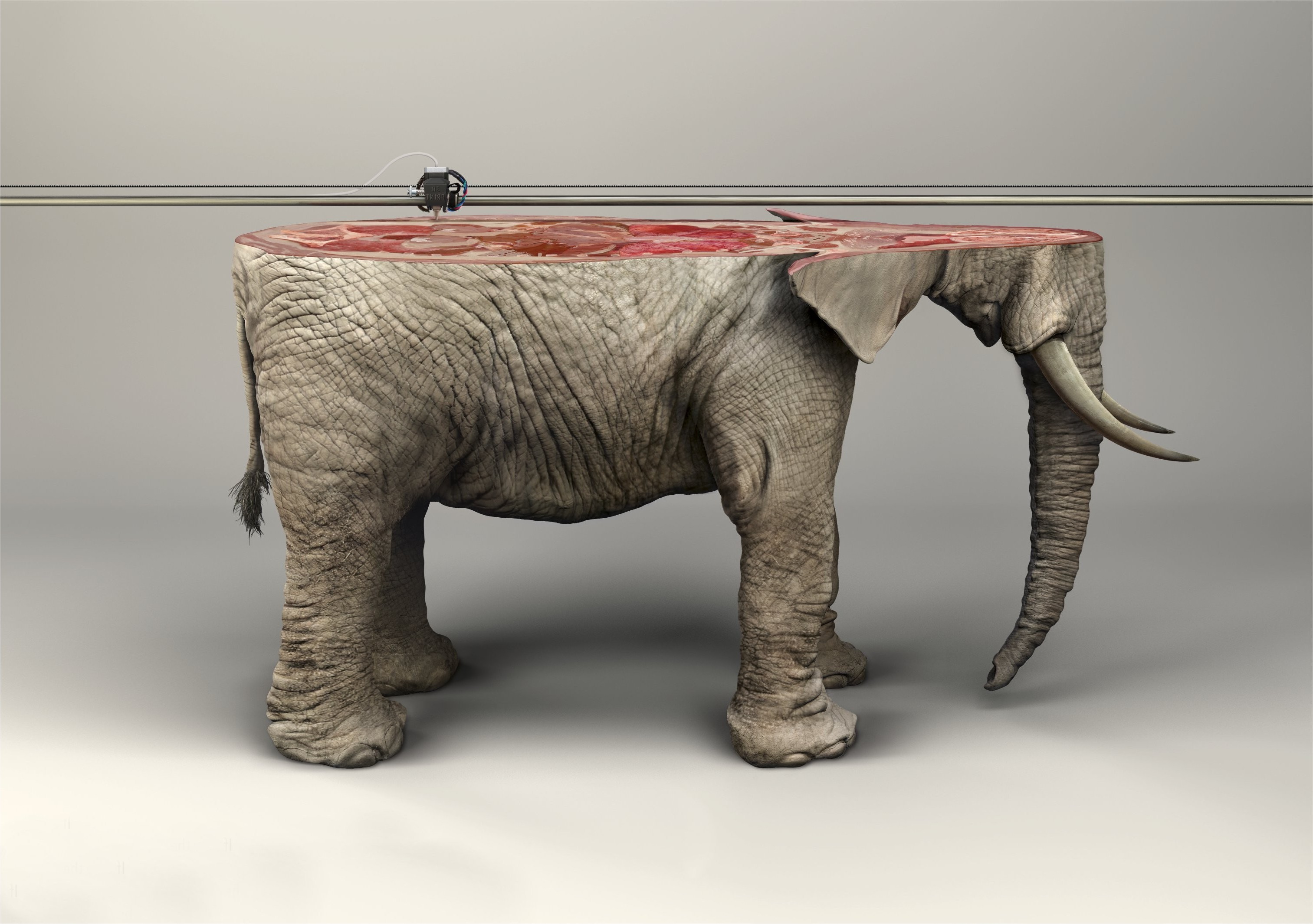 artwork, Animals, Digital Art, Elephants, 3d Object, 3d Printer, Skin