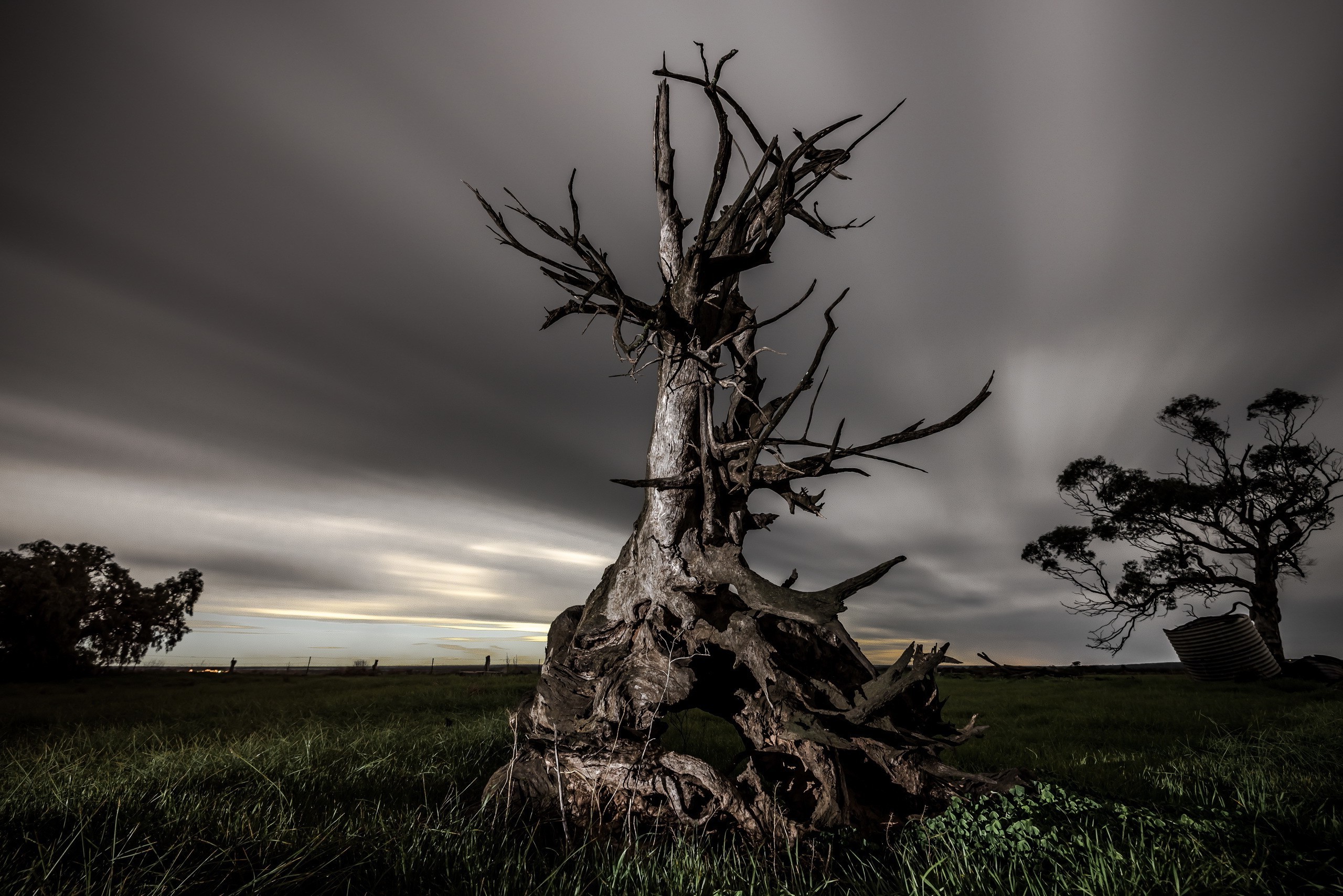 dead Trees, Nature, Clouds, Landscape Wallpapers HD / Desktop and Mobile  Backgrounds
