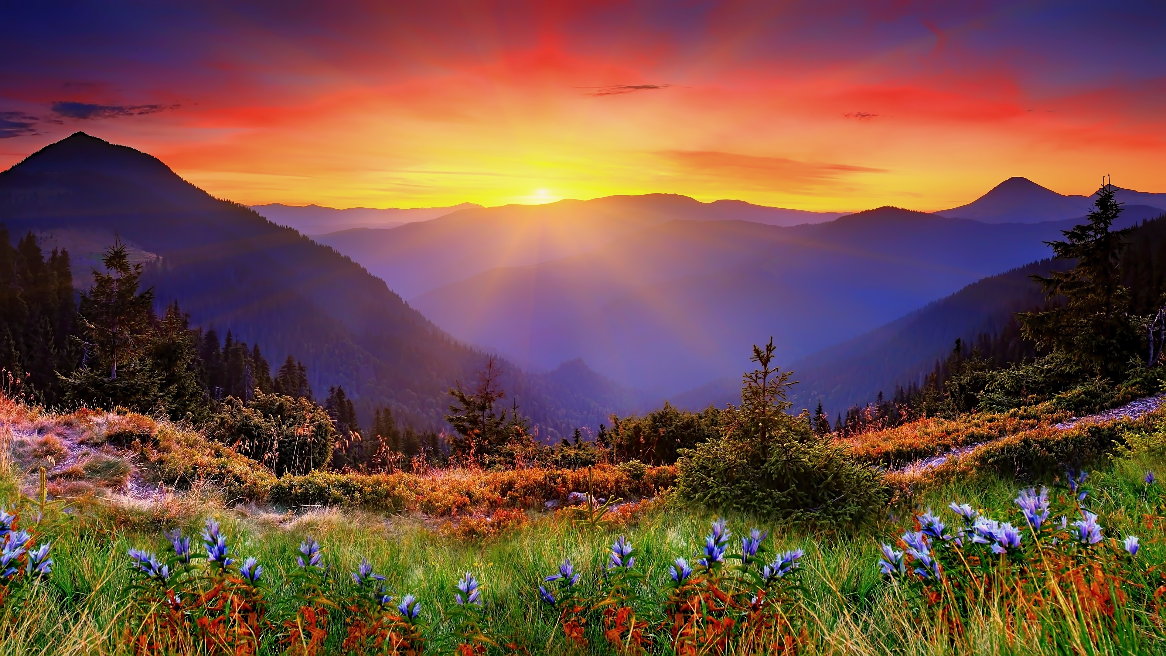 Free Wallpaper Nature - colorful, Landscape Wallpapers HD / Desktop and