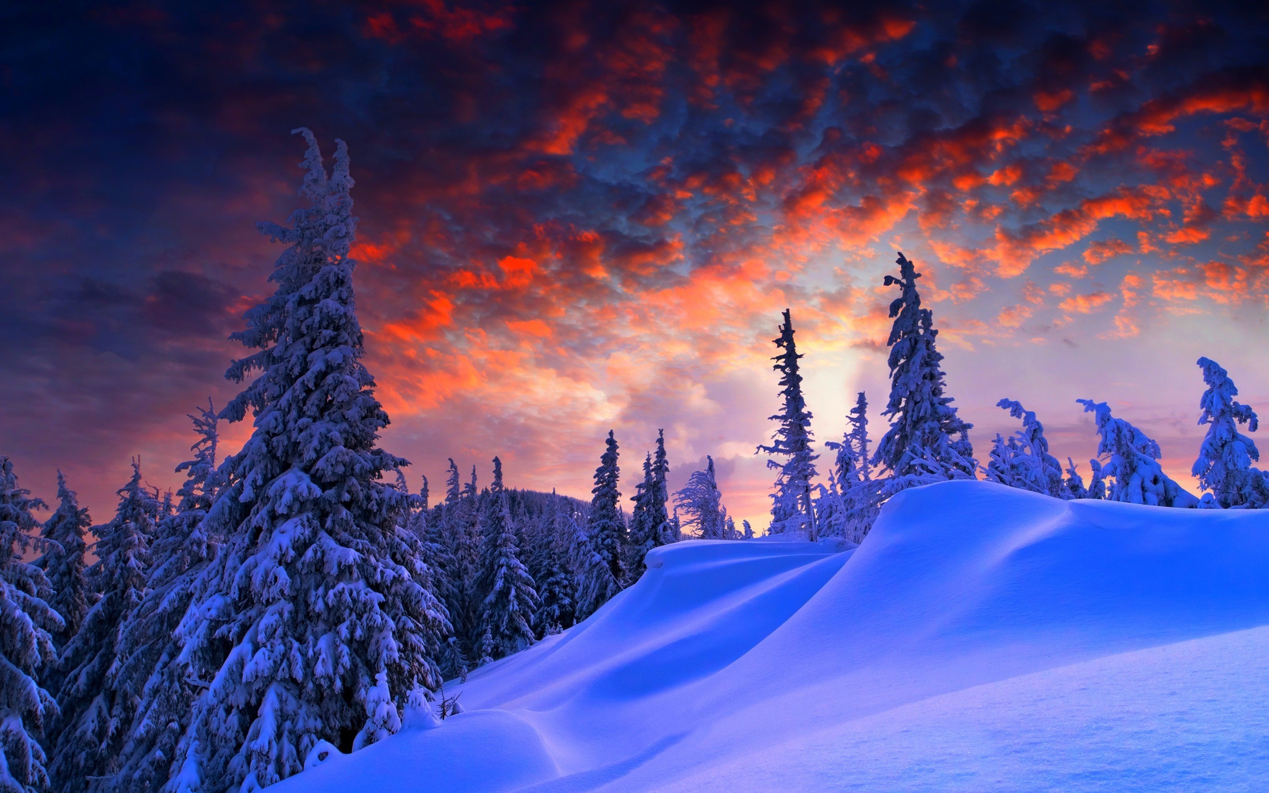 winter, Snow Wallpapers HD / Desktop and Mobile Backgrounds