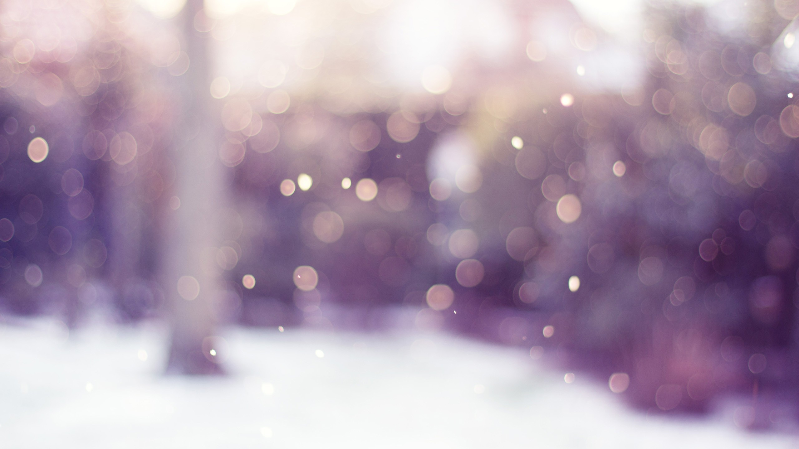 blurred, Winter, Bokeh Wallpapers HD / Desktop and Mobile Backgrounds