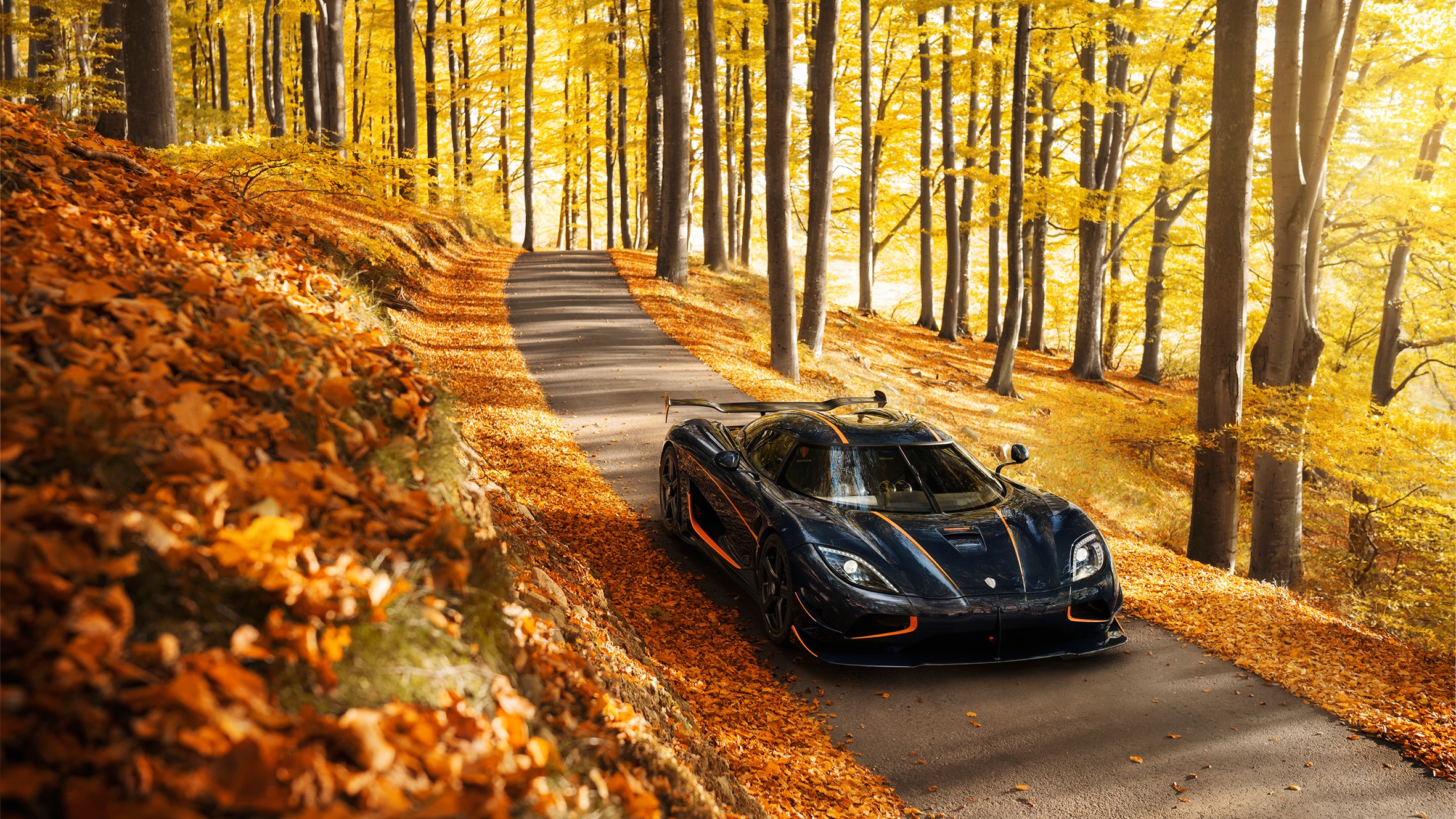 car, Nature, Fall, Leaves, Trees, Koenigsegg, Koenigsegg Agera, Road, Forest, Sunlight, Supercars, Sports car HD / Desktop and Mobile Backgrounds