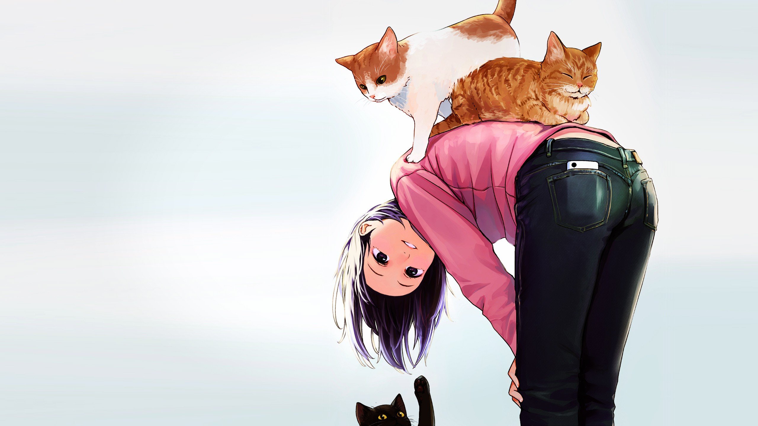 brunette, Anime girls, Anime, Cat Wallpapers HD / Desktop ...