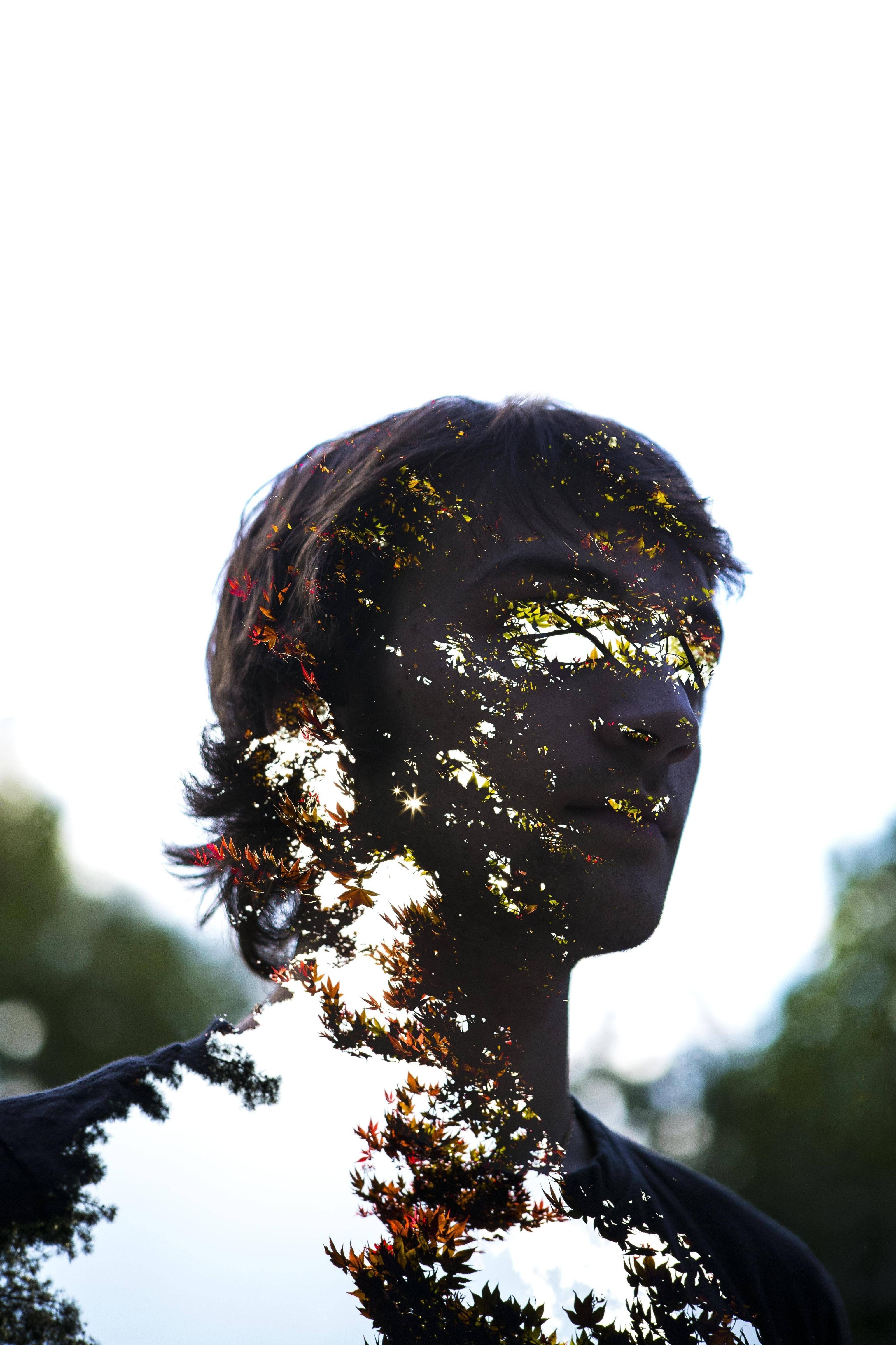 photo manipulation, Portrait, Wallpapers HD / Desktop and