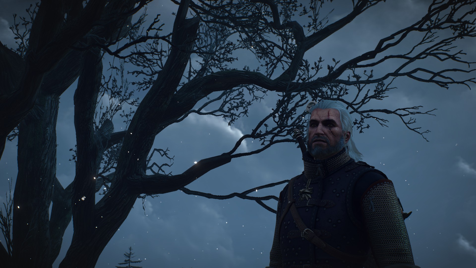 The witcher geralt skellige festival