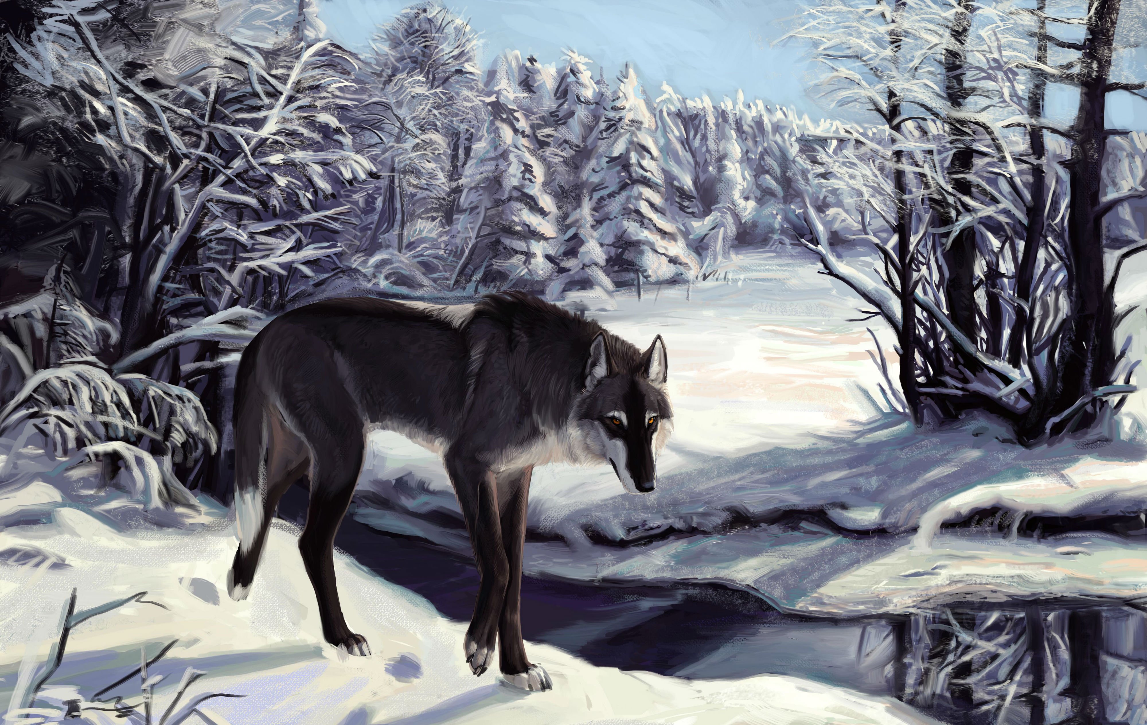 Fantasy Original Art Artistic Artwork Wolf Wolves Wallpapers HD