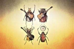 The Beatles Beetle insects guitar bands groups