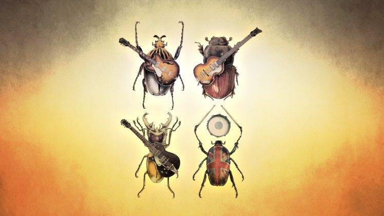 The Beatles Beetle insects guitar bands groups HD Wallpaper Desktop Background