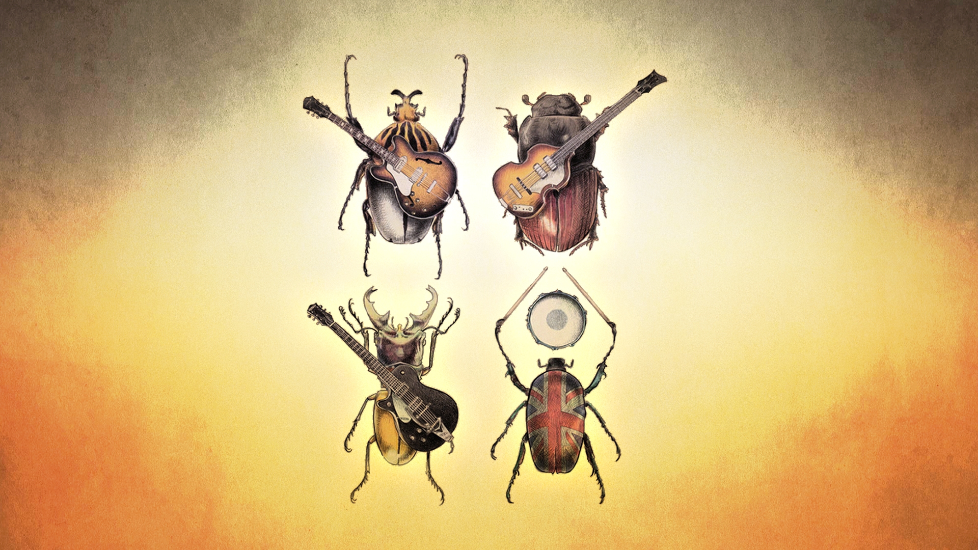 The Beatles Beetle insects guitar bands groups Wallpaper