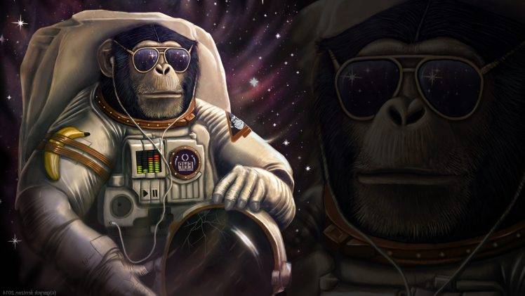 Monkey Astronaut HD Wallpaper Desktop Background