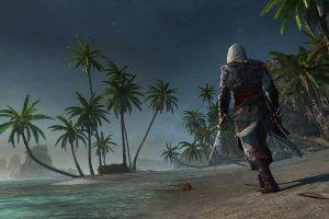Assassins Creed 4 Tropics Beach