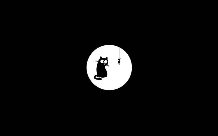 Black Funny Cats Looking Fish HD Wallpaper Desktop Background