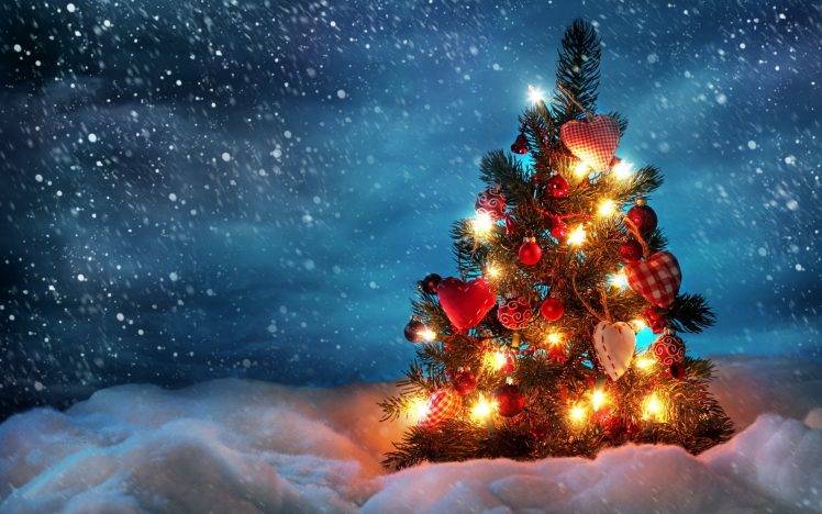 Christmas Trees HD Wallpaper Desktop Background