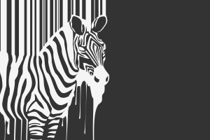 Creative Zebra Vector