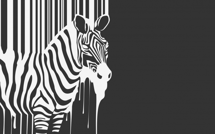 Creative Zebra Vector HD Wallpaper Desktop Background