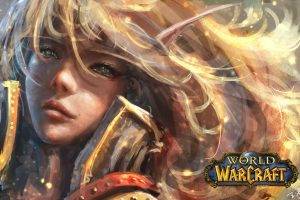 Elves Face in WOW