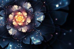 Flowers fractals bloom digital art