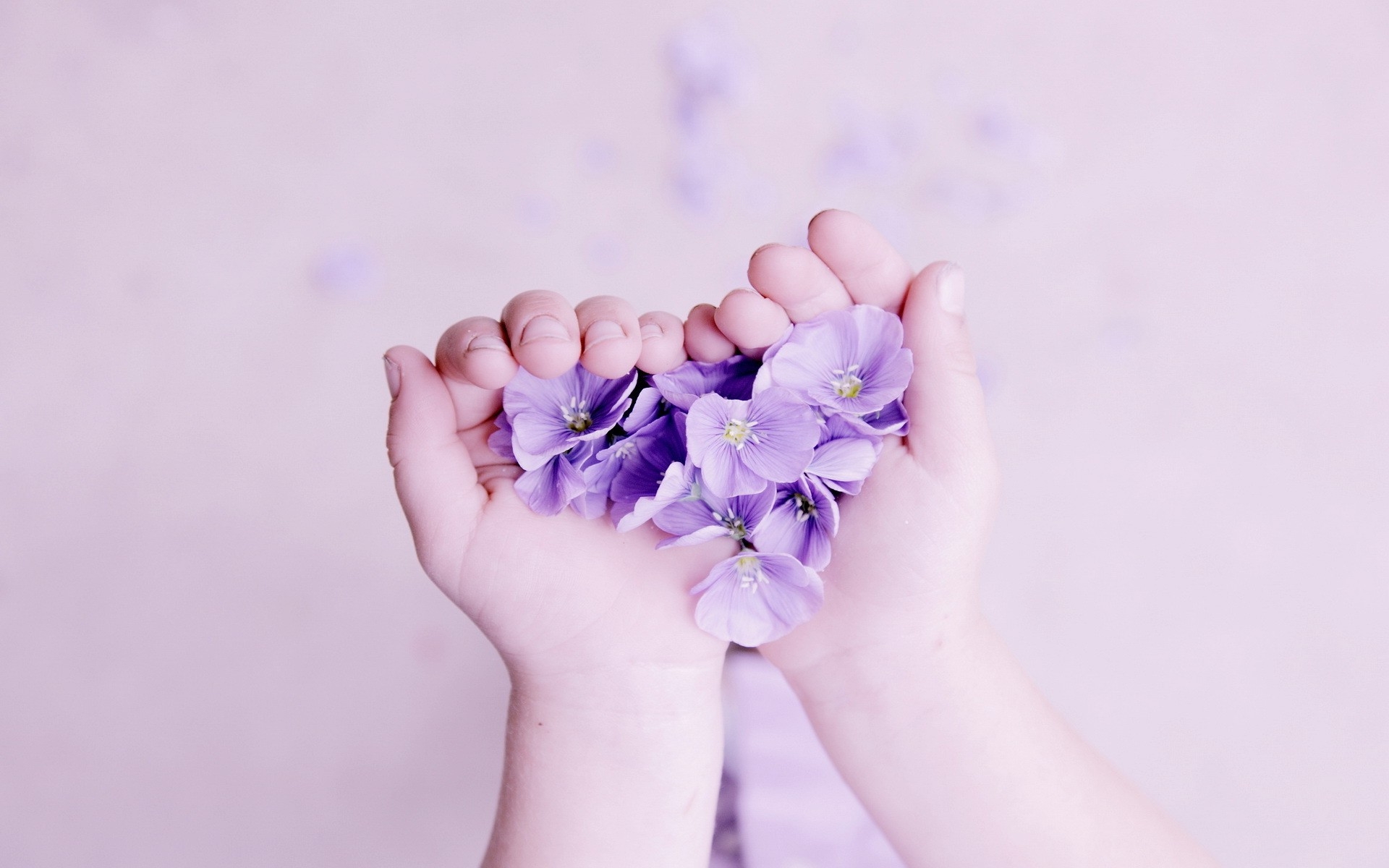 Flowers with Hearth Shapes Wallpaper