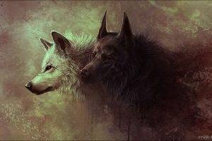 Gray and Black Wolves Painting