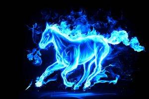 Horse a Blue Fire