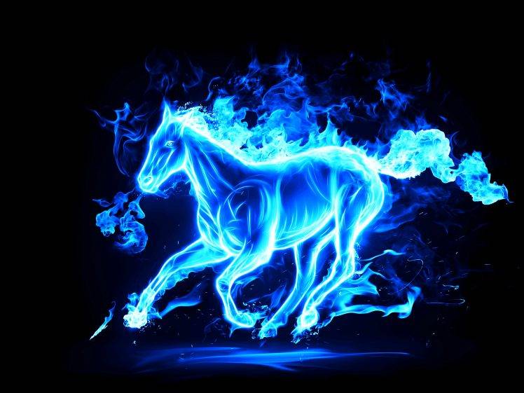 Horse a Blue Fire HD Wallpaper Desktop Background