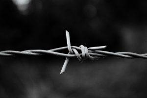 Macro Barbed Wire