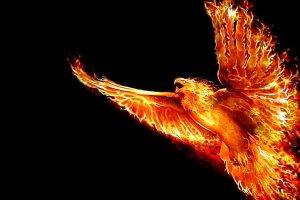 Phoenix a Firebird