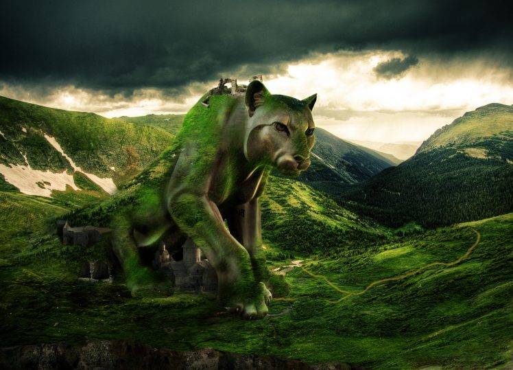Puma in Mountain HD Wallpaper Desktop Background