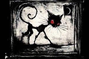 Red Eye Black Cat